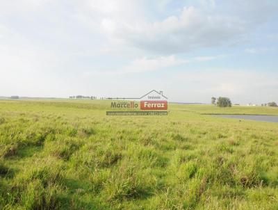 Campo para Venda, em Santana do Livramento, bairro campo