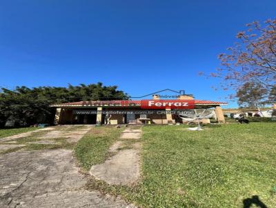 Ch�cara para Venda, em Santana do Livramento, bairro campo, 5 dormit�rios, 3 banheiros, 10 vagas