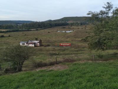 Ch�cara para Venda, em Santana do Livramento, bairro Prado